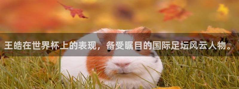 2026世界杯德国队阵容：王皓在世界杯上的表现，备受瞩目的国际足坛风云人物。