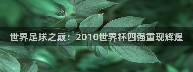 世预赛免费直播入口：世界足球之巅：2010世界杯四强重现辉煌