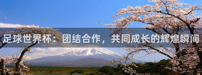 欧联杯直播：足球世界杯：团结合作，共同成长的辉煌瞬间