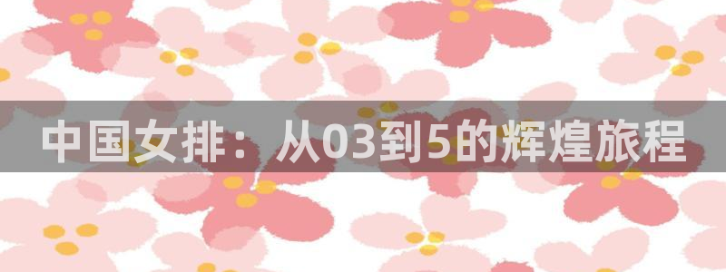 世界杯预选赛规则：中国女排：从03到5的辉煌旅程