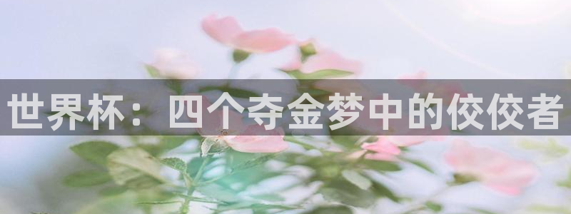 足球世界杯时间：世界杯：四个夺金梦中的佼佼者