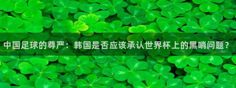 2026世界杯中国队：中国足球的尊严：韩国是否应该承认世界杯上的黑哨问题？