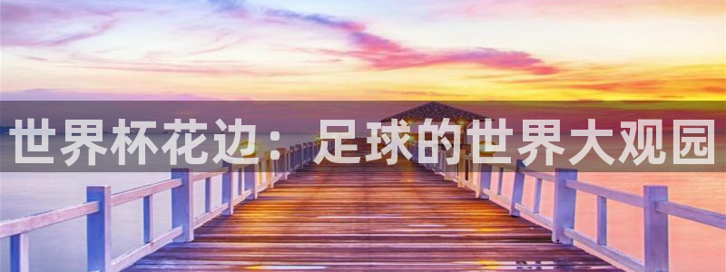 2026世界杯买球：世界杯花边：足球的世界大观园