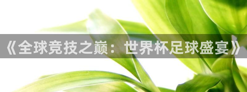 世界杯球队：《全球竞技之巅：世界杯足球盛宴》