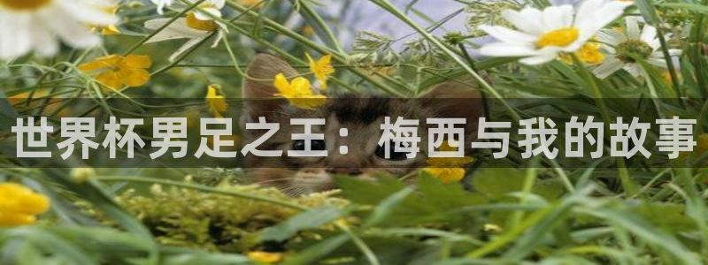 世界杯球队排名：世界杯男足之王：梅西与我的故事