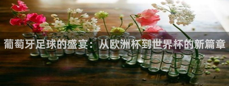世界杯足球比赛：葡萄牙足球的盛宴：从欧洲杯到世界杯的新篇章