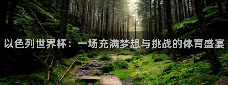 世界杯预选赛欧洲：以色列世界杯：一场充满梦想与挑战的体育盛宴