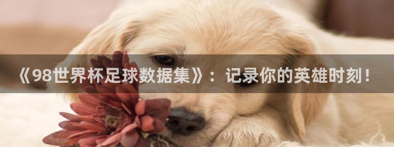世界杯直播高清：《98世界杯足球数据集》：记录你的英雄时刻！