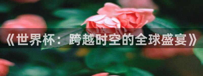 2026世界杯足球赛程时间表：《世界杯：跨越时空的全球盛宴》