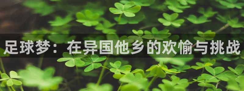 足球杯：足球梦：在异国他乡的欢愉与挑战